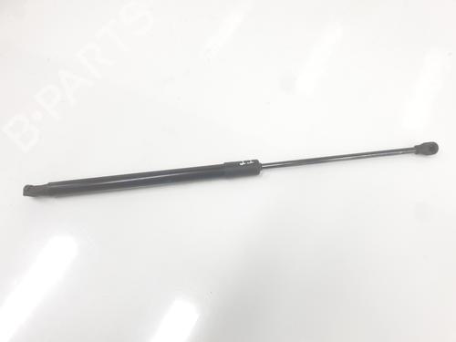 Tailgate lift support RENAULT CLIO V (B7_)  | BP33793850C138  - Image 5