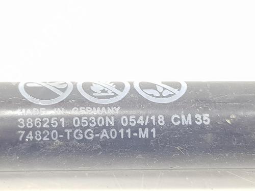 Tailgate lift support HONDA CIVIC X Hatchback (FC_, FK_) 1.6 i-DTEC (FK9) | BP14111897C138 