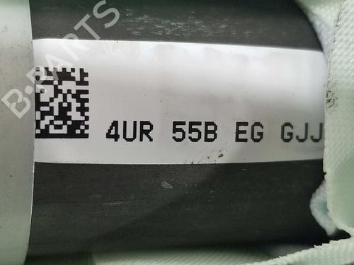 Left curtain airbag MASERATI QUATTROPORTE VI 3.0 D | BP6797885C11 