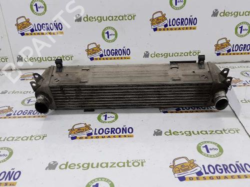 Used Intercooler LAND ROVER DISCOVERY III (L319) 2.7 TD 4x4 (190 hp) 1885999