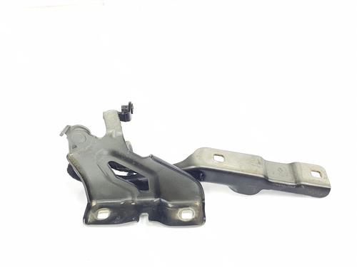 hingedoor-check-strap-dacia-sandero-iii-2021-34637879 main image