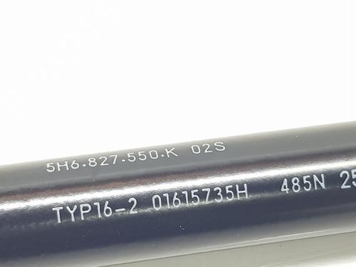 Tailgate lift support VW GOLF VIII (CD1, DA1) 1.5 eTSI | BP29723356C138 