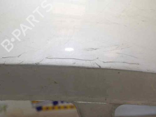 Rear bumper RENAULT MEGANE II (BM0/1_, CM0/1_)  | BP1543966C8 