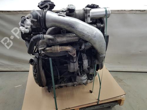 Engine SEAT IBIZA III (6L1) | BP31903985M1