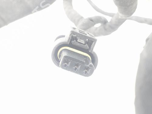 Wiring harness MERCEDES-BENZ C-CLASS Coupe (C205) C 250 d (205.308) | BP18150617E16 