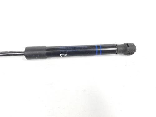 Hood lift support BMW X4 (G02, F98) xDrive 30 d Mild-Hybrid | BP14103063C139 
