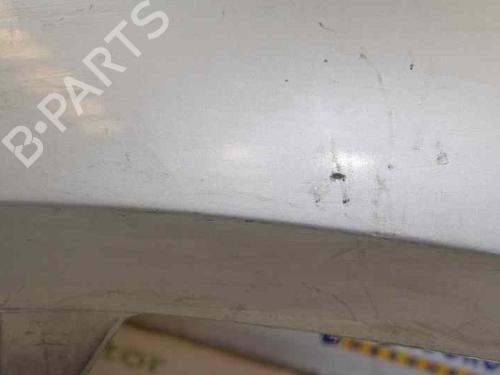 Rear bumper RENAULT MEGANE II (BM0/1_, CM0/1_)  | BP1543966C8 