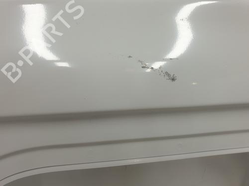 Left rear door RENAULT TRAFIC III Van (FG_) 1.6 dCi 140 (FGMA, FGMC) | BP29953703C4