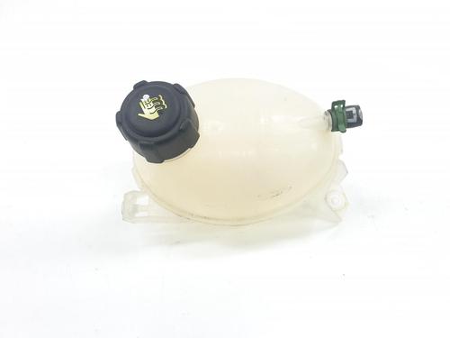 Used Expansion tank RENAULT CLIO IV (BH_) 1.2 16V (BHA1, BHAK, BHMG, BHMK) (75 hp) 17169656
