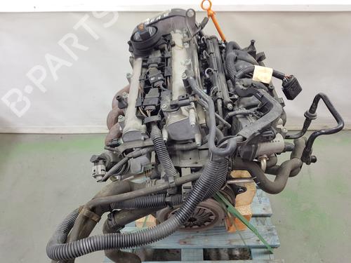 Engine VW POLO IV (9N_, 9A_) 1.4 16V | BP31344079M1 