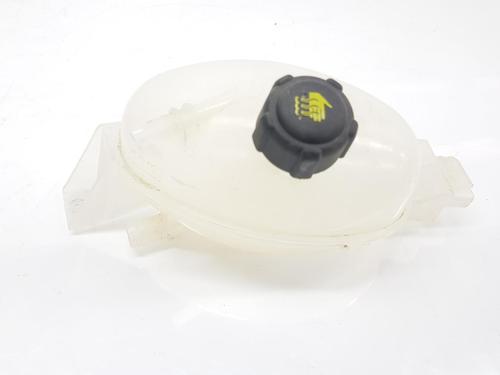 Used Expansion tank RENAULT MASTER III Van (FV) 2.3 dCi 135 FWD (FV0N, FV08, FV06, FV00) (136 hp) 10201081