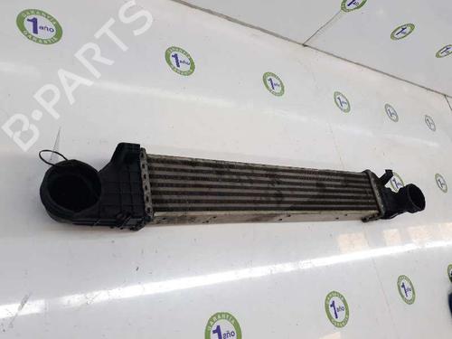 Intercooler MERCEDES-BENZ E-CLASS (W211) E 220 CDI (211.006) | BP3657466M30 
