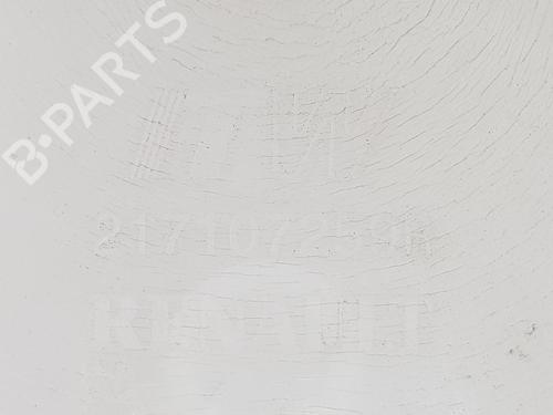 Expansion tank DACIA SANDERO II 1.5 dCi | BP17769565C120 