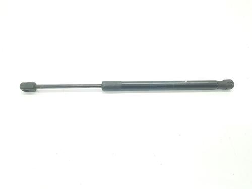 Used Hood lift support LAND ROVER DISCOVERY V (L462) 3.0 Td6 4x4 (258 hp) 14097949