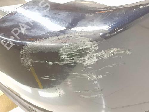 Rear bumper LAND ROVER RANGE ROVER SPORT I (L320) 2.7 D 4x4 | BP6828005C8 