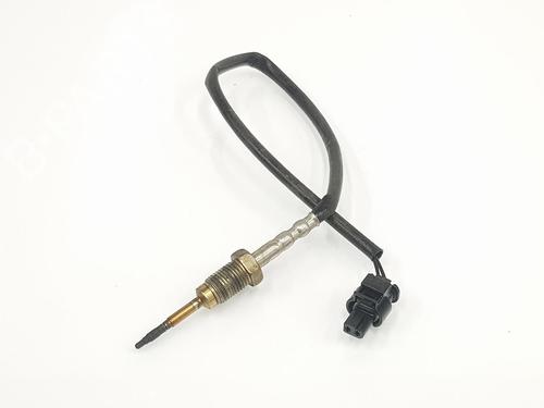 Elektronische sonde BMW X3 (F25) xDrive 30 d (258 hp) 17171612