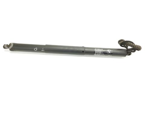 Tailgate lift support BMW X5 (F15, F85) xDrive 25 d | BP29716384C138 