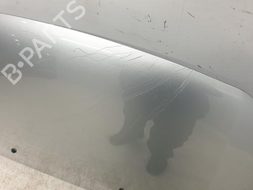Hood DACIA SANDERO II  | BP24514740C1 