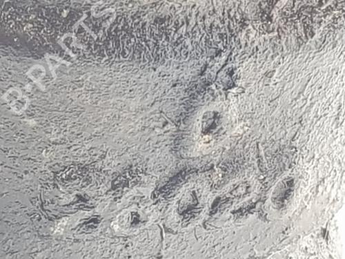 Steering pump TOYOTA LAND CRUISER 90 (_J9_) 3.0 TD (KZJ90_, KZJ95_, KZJ90R, KZJ95R, KZJ90W, KZJ95W) | BP31903991M99