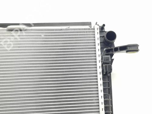 Water radiator VW CRAFTER Van (SY_, SX_)  | BP29535618M31 