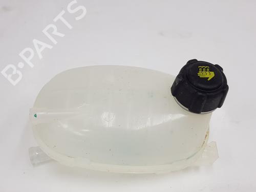 expansion-tank-renault-arkana-i-lcm_-ldn_-2019-35930187 main image