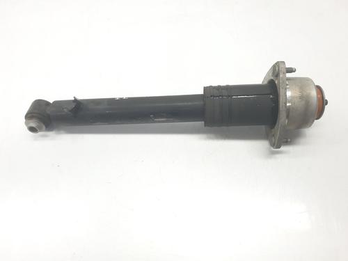 Left rear shock absorber BMW X5 (E70) xDrive 30 d | BP23661825M18 