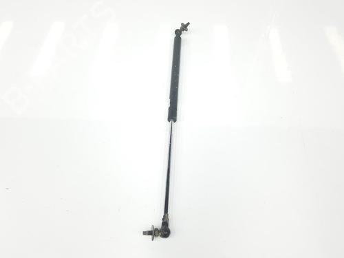 Hood lift support TOYOTA LAND CRUISER PRADO (_J12_) 3.0 D-4D (KDJ120, KDJ125) | BP14118679C139 