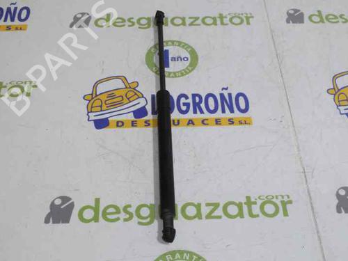 Hood lift support BMW 1 (E87) 120 d | BP14121136C139 