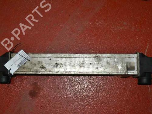 Intercooler BMW 5 (E39) 520 d | BP1168196M30 