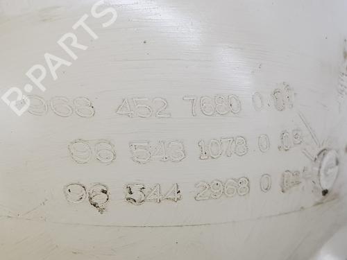 Expansion tank PEUGEOT 3008 I MPV (0U_) 1.6 HDi | BP15951715C120 