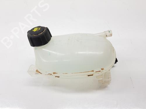 expansion-tank-renault-arkana-i-lcm_-ldn_-2019-33803214 main image