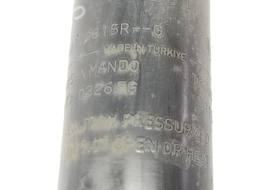 Left rear shock absorber RENAULT CLIO IV (BH_) 1.5 dCi 90 | BP11014662M18 