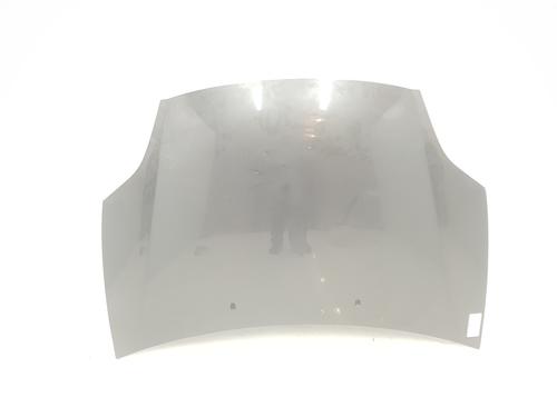 Used Hood FIAT BRAVO II (198_) 1.9 D Multijet (198AXB1A) (120 hp) 10636075