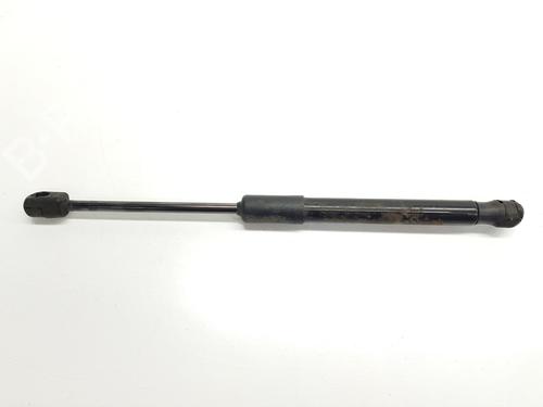 Hood lift support AUDI A6 C7 (4G2, 4GC) 2.0 TDI | BP29596105C139 