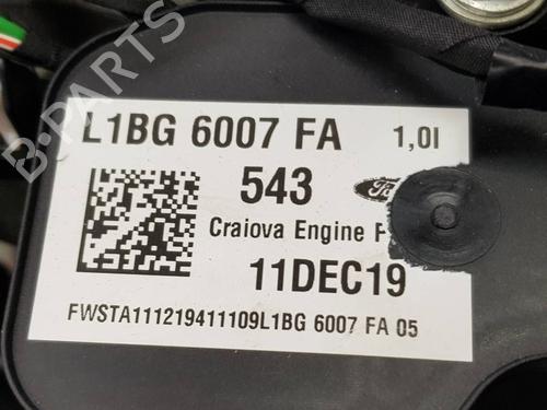 Engine FORD PUMA (J2K, CF7) | BP39191540M1 - Image 18