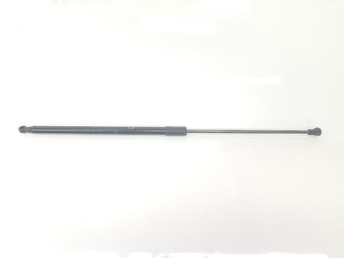 Used Hood lift support DACIA DUSTER (HS_) 1.6 SCe 115 4x4 (115 hp) 14100959