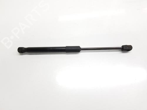 hood-lift-support-audi-a6-c7-4g2-4gc-2010-2011-2012-2013-2014-2015-2016-2017-2018-2019-33543174 main image