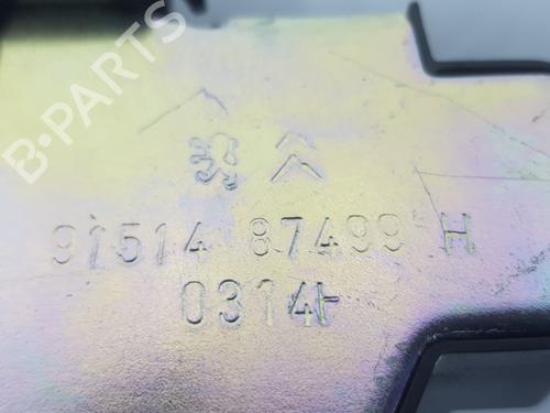 Tailgate lock PEUGEOT 3008 I MPV (0U_) 1.6 HDi 115 / BlueHDi 115 | BP16687302C101 