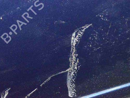 Left front door FORD FOCUS C-MAX (DM2)  | BP2990974C2 