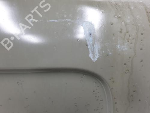 Right rear door RENAULT TRAFIC III Van (FG_)  | BP21004094C5 