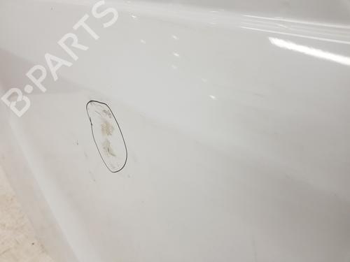 Left front door RENAULT TRAFIC III Van (FG_) 1.6 dCi 140 (FGMA, FGMC) | BP30682047C2