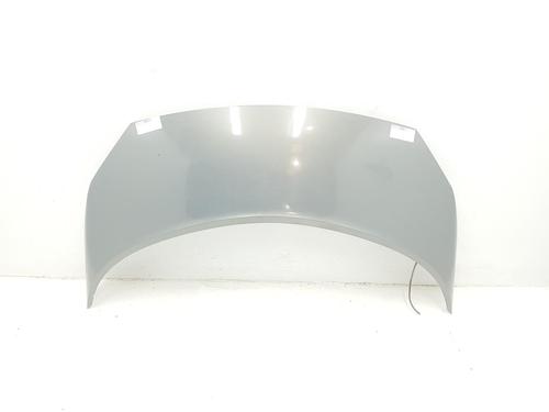 Used Hood RENAULT GRAND SCÉNIC II (JM0/1_) 1.5 dCi (JM02, JM13) (101 hp) 15074871