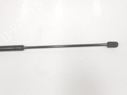 Tailgate lift support MERCEDES-BENZ M-CLASS (W163) ML 270 CDI (163.113) | BP14100996C138 
