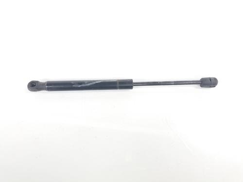 Hood lift support LAND ROVER RANGE ROVER EVOQUE (L538) 2.0 4x4 | BP14091685C139 