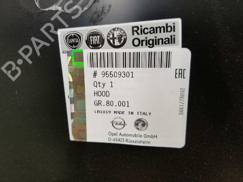 Hood OPEL COMBO Box Body/MPV (X12) 1.6 CDTI (B05) | BP10256799C1 
