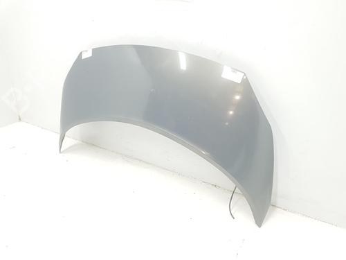Hood RENAULT GRAND SCÉNIC II (JM0/1_) 1.5 dCi (JM02, JM13) | BP15074871C1 