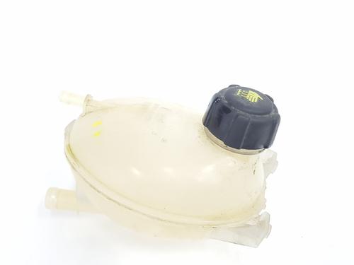 Expansion tank RENAULT CAPTUR I (J5_, H5_) 1.5 dCi 90 (J5N4, J5M5, J5MW, J5M6, J5AL, J5AJ) | BP29953687C120 