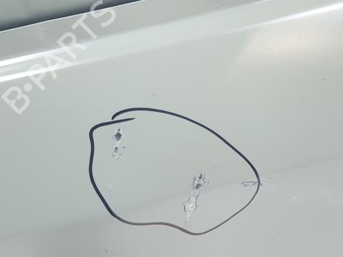 Left front door RENAULT TRAFIC III Van (FG_) 1.6 dCi 140 (FGMA, FGMC) | BP29915228C2 