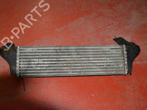 Intercooler BMW X5 (E53) 3.0 d | BP1168216M30 