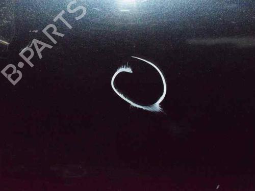 Left rear door MERCEDES-BENZ C-CLASS T-Model (S203) C 220 CDI (203.208) | BP1252208C4 